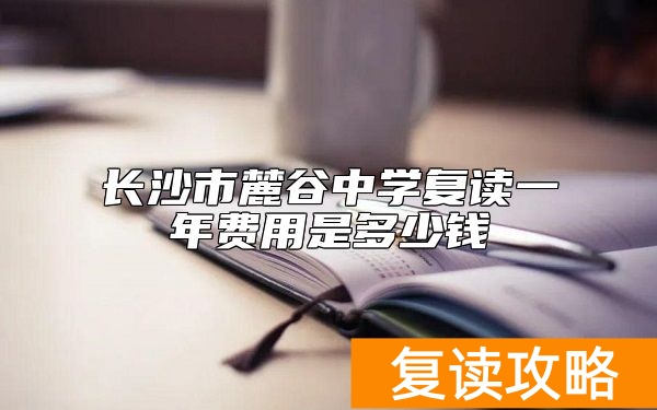 长沙市麓谷中学复读一年费用是多少钱