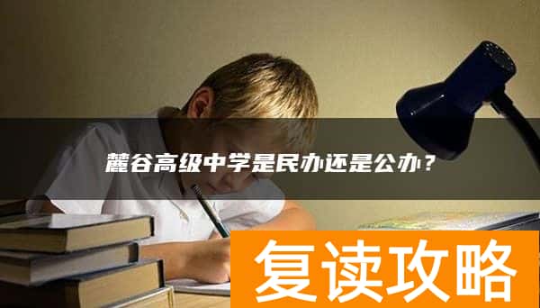 麓谷高级中学是民办还是公办？