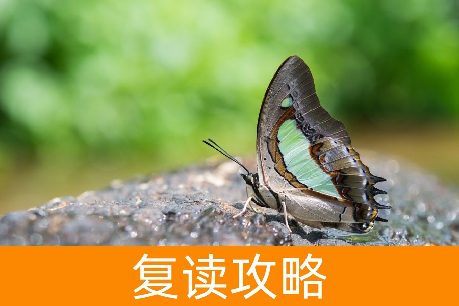 复读:一场破茧成蝶的逆袭征途,背后的真相令人动容