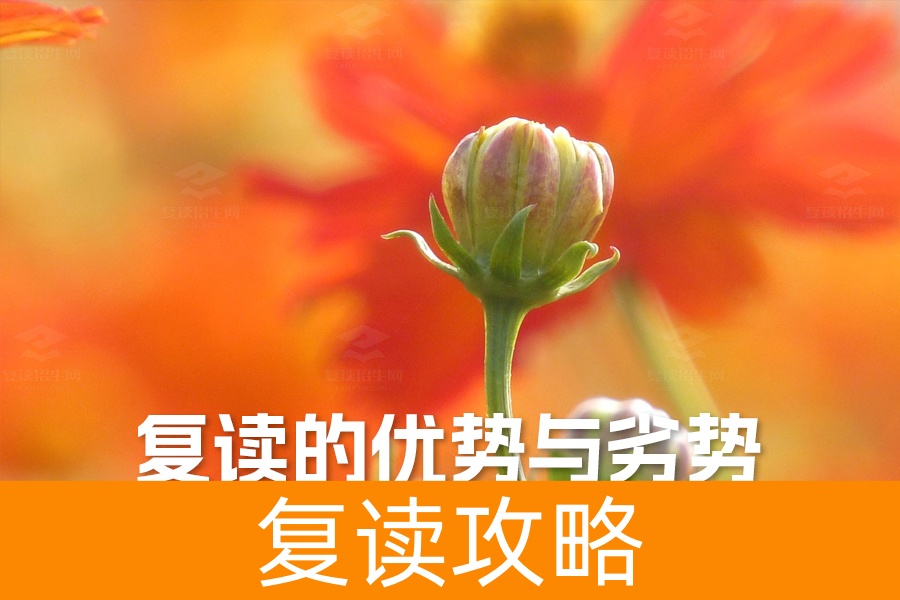 复读的优势与劣势：深入解析助你做出明智选择